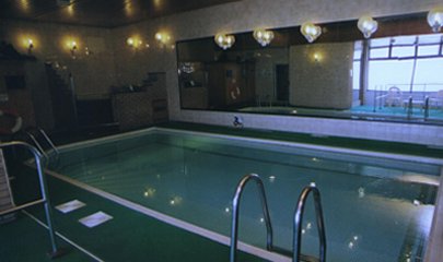 pool01.jpg (18876 bytes)